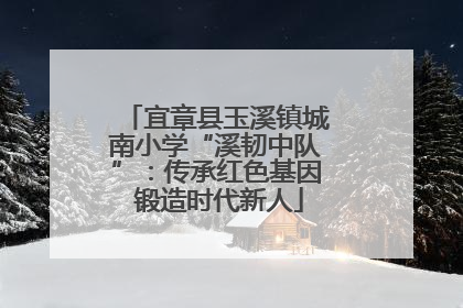 宜章县玉溪镇城南小学“溪韧中队”：传承红色基因 锻造时代新人