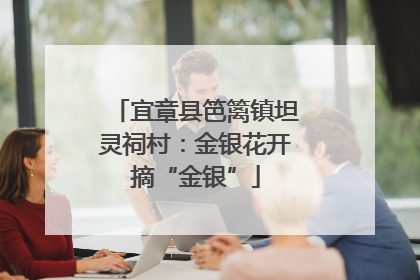 宜章县笆篱镇坦灵祠村：金银花开摘“金银”