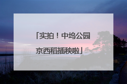 实拍！中坞公园京西稻插秧啦