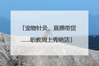 宠物针灸、直播带货……职教周上秀绝活