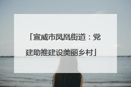 宣威市凤凰街道：党建助推建设美丽乡村