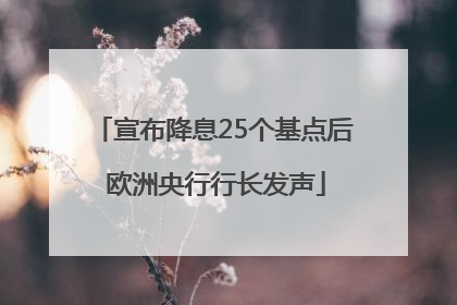 宣布降息25个基点后 欧洲央行行长发声