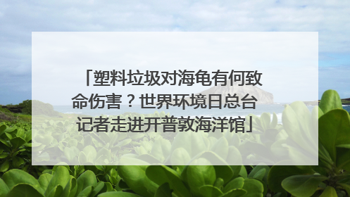 塑料垃圾对海龟有何致命伤害？世界环境日总台记者走进开普敦海洋馆