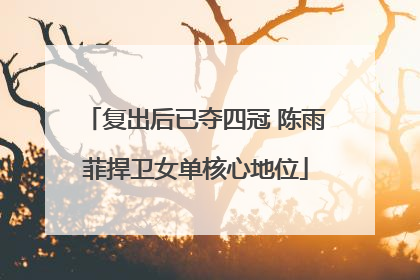 复出后已夺四冠 陈雨菲捍卫女单核心地位