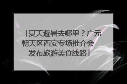 夏天避暑去哪里？广元朝天区西安专场推介会 发布旅游美食线路
