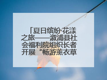 夏日缤纷·花漾之旅——溆浦县社会福利院组织长者开展“畅游薰衣草庄园 共享紫色浪漫”户外活动