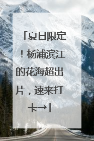 夏日限定！杨浦滨江的花海超出片，速来打卡→