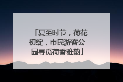 夏至时节，荷花初绽，市民游客公园寻觅荷香雅韵