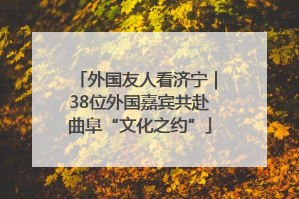 外国友人看济宁｜38位外国嘉宾共赴曲阜“文化之约”