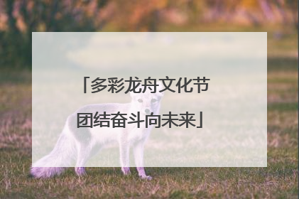 多彩龙舟文化节 团结奋斗向未来