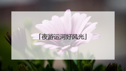 夜游运河好风光
