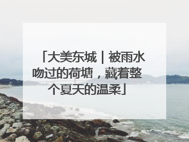 大美东城｜被雨水吻过的荷塘，藏着整个夏天的温柔