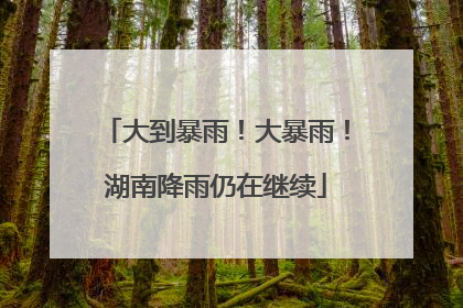 大到暴雨！大暴雨！湖南降雨仍在继续