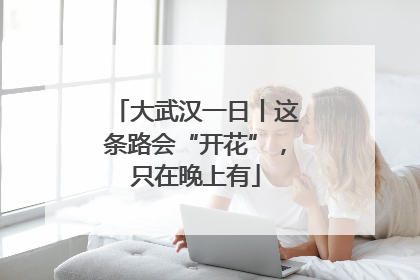 大武汉一日丨这条路会“开花”，只在晚上有