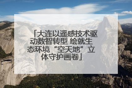大连以遥感技术驱动数智转型 绘就生态环境“空天地”立体守护画卷