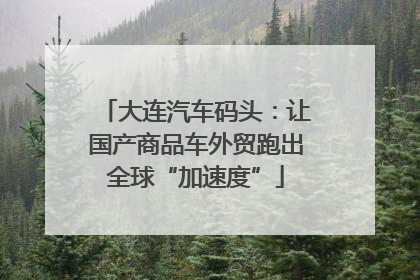 大连汽车码头：让国产商品车外贸跑出全球“加速度”