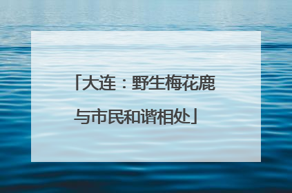 大连：野生梅花鹿与市民和谐相处