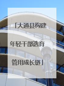 大通县构建年轻干部选育管用成长链