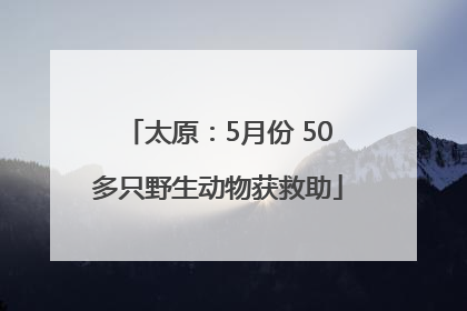 太原：5月份 50多只野生动物获救助