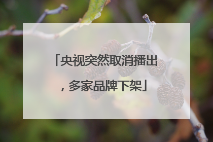 央视突然取消播出，多家品牌下架