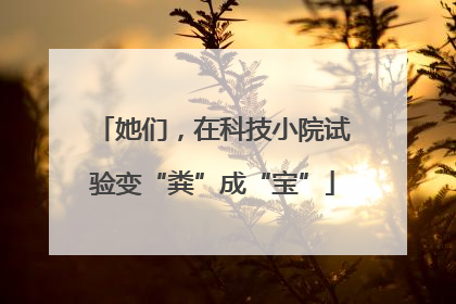 她们，在科技小院试验变“粪”成“宝”