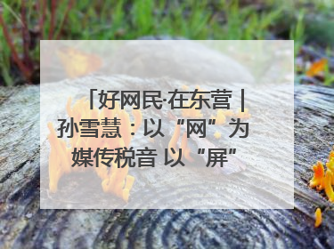 好网民·在东营｜孙雪慧：以“网”为媒传税音 以“屏”为介助发展
