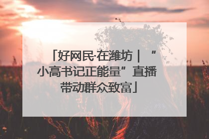 好网民·在潍坊｜“小高书记正能量”直播 带动群众致富