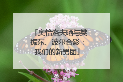 奥恰洛夫晒与樊振东、波尔合影：我们的新男团
