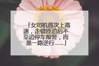女司机首次上高速，走错匝道后不靠边停车报警，而是一路逆行……