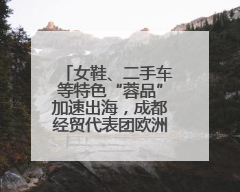 女鞋、二手车等特色“蓉品”加速出海，成都经贸代表团欧洲中东行签单逾3.7亿元