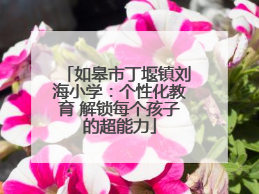 如皋市丁堰镇刘海小学：个性化教育 解锁每个孩子的超能力