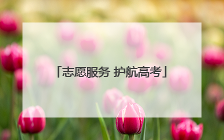 志愿服务 护航高考