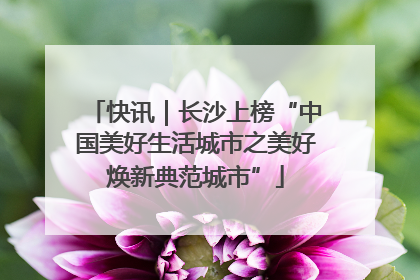 快讯｜长沙上榜“中国美好生活城市之美好焕新典范城市”