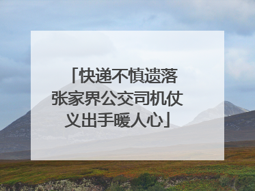 快递不慎遗落 张家界公交司机仗义出手暖人心