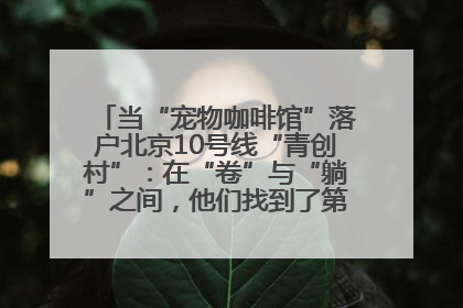 当“宠物咖啡馆”落户北京10号线“青创村”：在“卷”与“躺”之间，他们找到了第三种生活公式