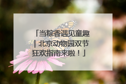 当粽香遇见童趣｜北京动物园双节狂欢指南来啦！