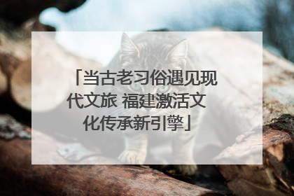 当古老习俗遇见现代文旅 福建激活文化传承新引擎
