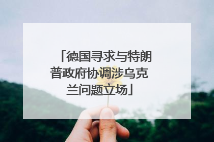 德国寻求与特朗普政府协调涉乌克兰问题立场