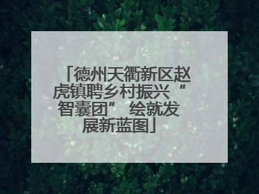 德州天衢新区赵虎镇聘乡村振兴“智囊团” 绘就发展新蓝图