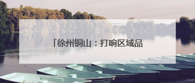 徐州铜山：打响区域品牌，助力“杏”福经济