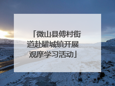 微山县傅村街道赴驩城镇开展观摩学习活动