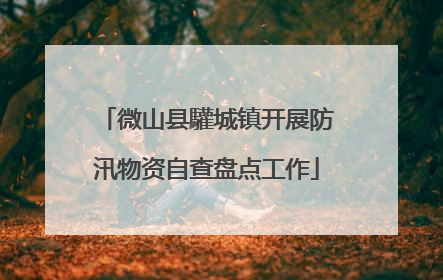 微山县驩城镇开展防汛物资自查盘点工作