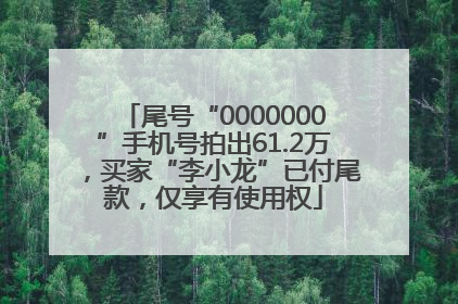 尾号“0000000”手机号拍出61.2万，买家“李小龙”已付尾款，仅享有使用权