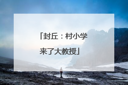 封丘：村小学来了大教授
