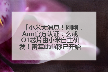 小米大消息！刚刚，Arm官方认证：玄戒O1芯片由小米自主研发！雷军此前称已开始大规模量产
