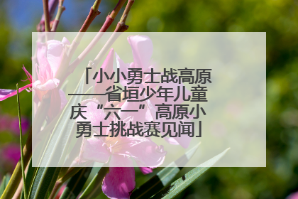 小小勇士战高原——省垣少年儿童庆“六一”高原小勇士挑战赛见闻