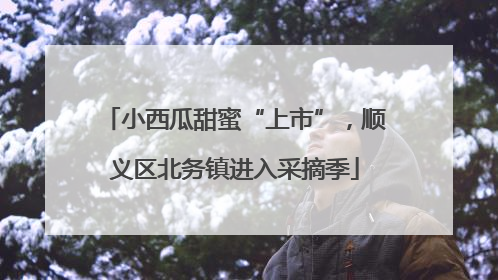 小西瓜甜蜜“上市”，顺义区北务镇进入采摘季