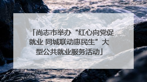 尚志市举办“红心向党促就业 同城联动惠民生”大型公共就业服务活动