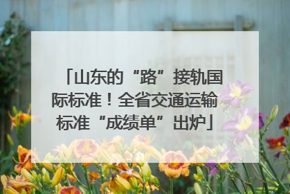 山东的“路”接轨国际标准！全省交通运输标准“成绩单”出炉