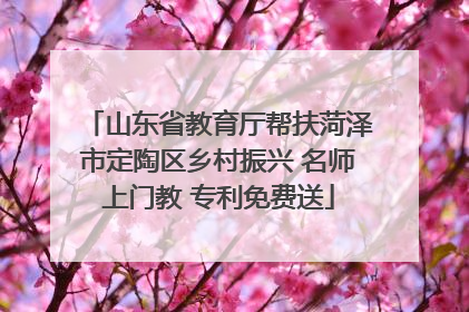 山东省教育厅帮扶菏泽市定陶区乡村振兴 名师上门教 专利免费送